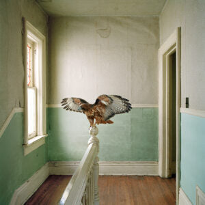 Reverence (Maureen O'Connor)