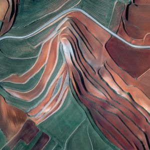 Fallow Fields (Seasons, Fall) (Carolyn Cheng)