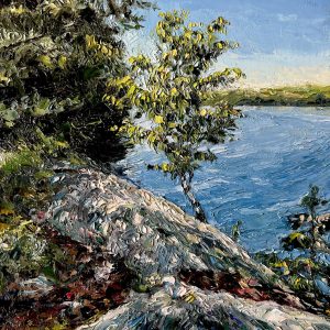 Birch in the Blueberry Patch (Sharin Barber)