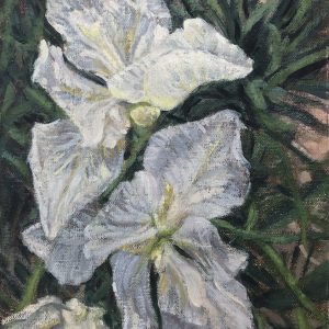White Iris (Lulu Galway)