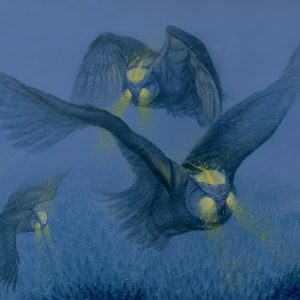 High Beams (C.M. Duffy)