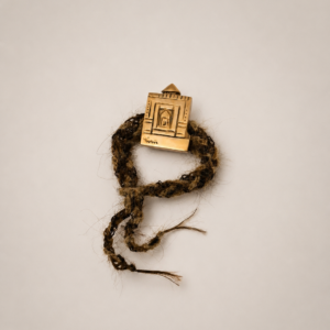 Entangled (from Rapunzel & Rudabeh collection) (Mina Talaee)