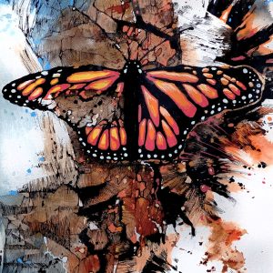 Abstract Butterfly (Brian Michon)