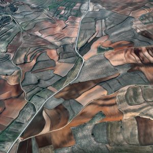 Fallow Fields (Parceled Lands, Fall) (Carolyn Cheng)