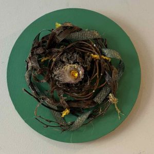 Eye of the Wolf (Francie McGlynn)