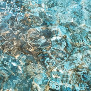 Coral Rippling (Meaghan Ogilvie)