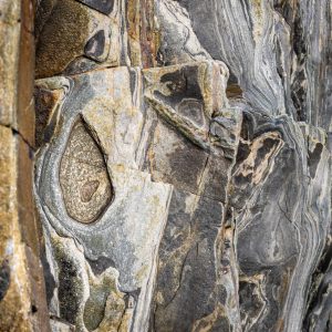 Rock Deco (Lori Ryerson)