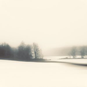 Follow Me (#2 of 7) (Steve Kean)