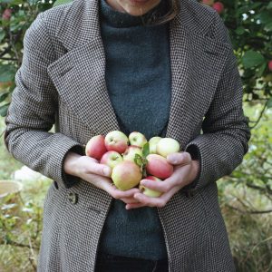 Hands Full of Apples (Tessa Graham)