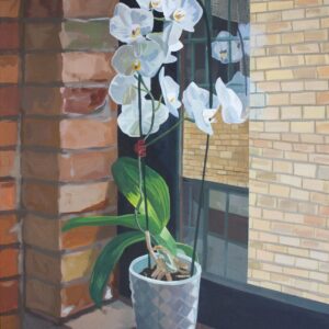 Orchid Still Life (Sara Morgado)