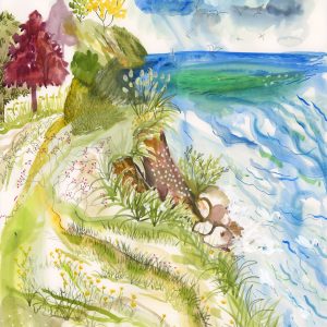 The Call of Summer (Apoorva Mittal)