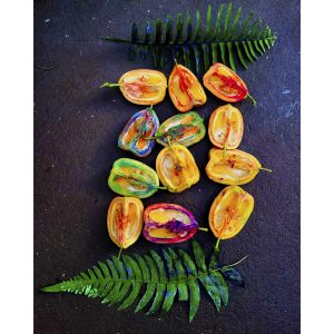 Ackee Walk by Ryan O'Neil (Amazing Moss Park Art Collective)