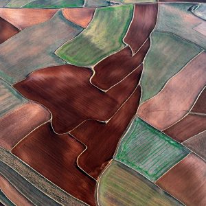 Fallow Fields (Stained Glass) (Carolyn Cheng)