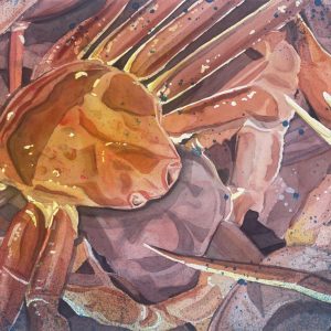 The Low Tide Hustle (Luanne Dominix)