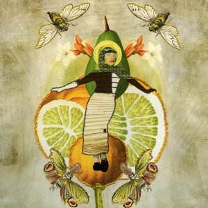 Madame Drosophyla (Daria  Beer)