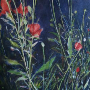 Wild (Freda Tan)