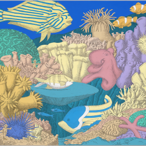 Coral Ranch (Steven Kenny)