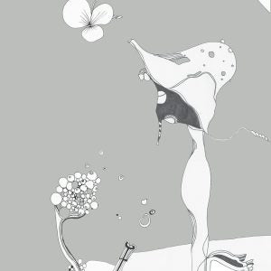 Her royal Mycelia (Ronit Wolf)