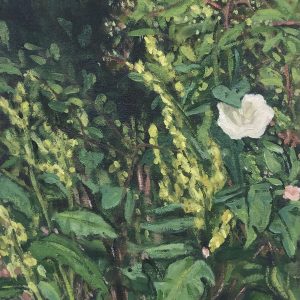 Bindweed (Lulu Galway)