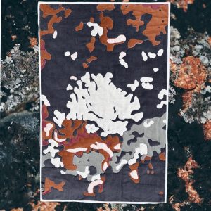 Lichen (Marilyn Armand)