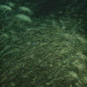 Land and sea VIII (Curt Gaudon)