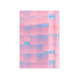 flight (Rina Chen)