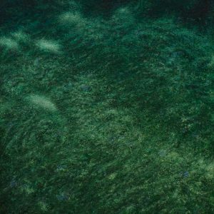 Land and sea VII (Curt Gaudon)