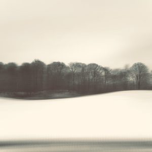Rolling Fields (#2 of 7) (Steve Kean)