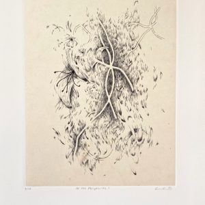 At the Peripheries (Emily Conlon)