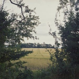 Paths We Took With No One Watching (Tessa Graham)