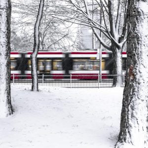 A white morning (Marc Eymé)