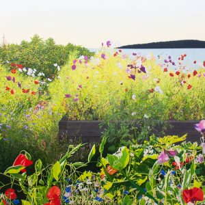 Jardin de fleurs d’été (série #4) (Kamouraska, QC) (Julie Desmarais)