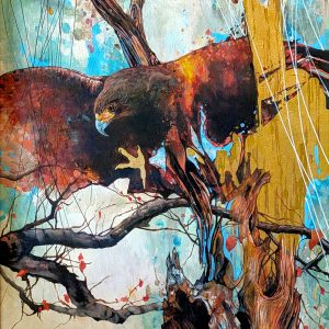 Abstract Nova (Brian Michon)