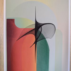 une Hirondelle dans l'espace (Jérôme Guilleaume)