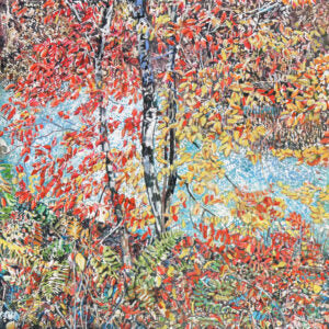 autumn colours and river sparkles (Micheal Zarowsky)