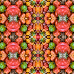 Tomato Mosaic (Andrew Zimbel)