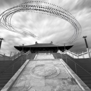 The Spiral Effect (Raghuvamsh Chavali)