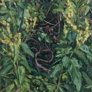 Rachel's Garden (Lulu Galway)