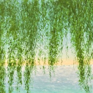 Lakeside View with Willow Tree (Adam Chemille)