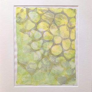 Cucumber (cells magnified x300) (Karen Taylor)