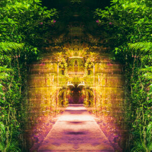 Golden Portal (Nika Belianina)