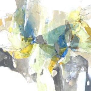 Honeybee Flight Paths (Sara Wiens)