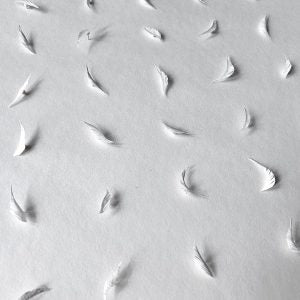 The Cuts Series (Zhan Zhang)