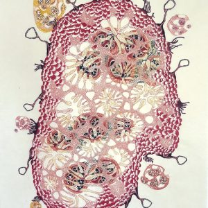A Fierce Defense of Softness (Maria Doering)