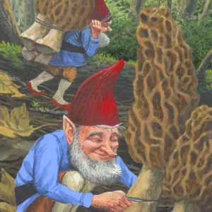 Morel Movers (C.M. Duffy)