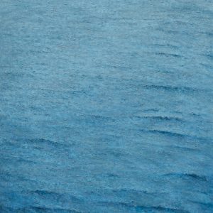 Land and sea I (Curt Gaudon)