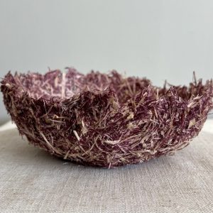Nidus Purpura (Lara Sturzenbaum)