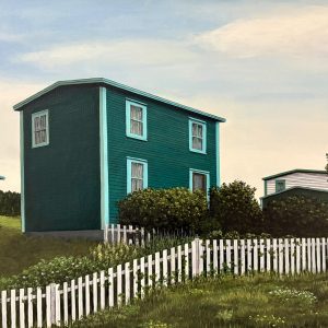 Green House in Ramea (David Connolly)