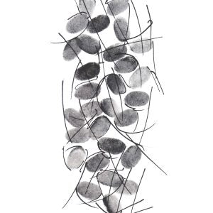 Unity in Variety (Rutu Palav)