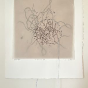 Unearthed IV (Emily Conlon)